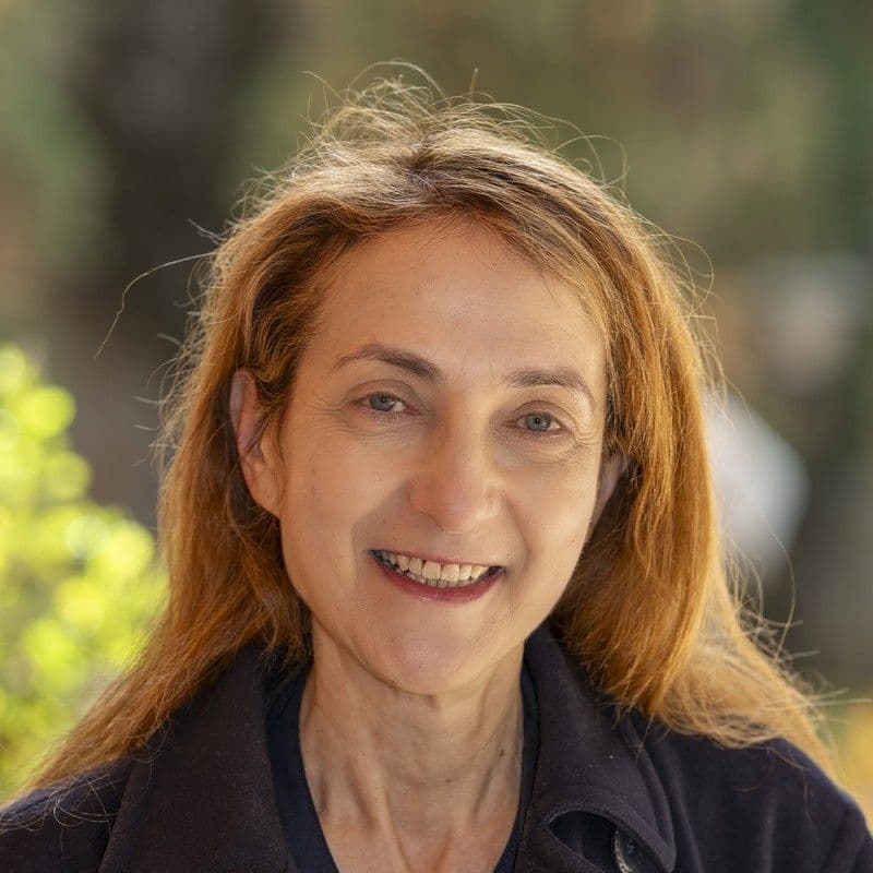 Elisabetta Longarini